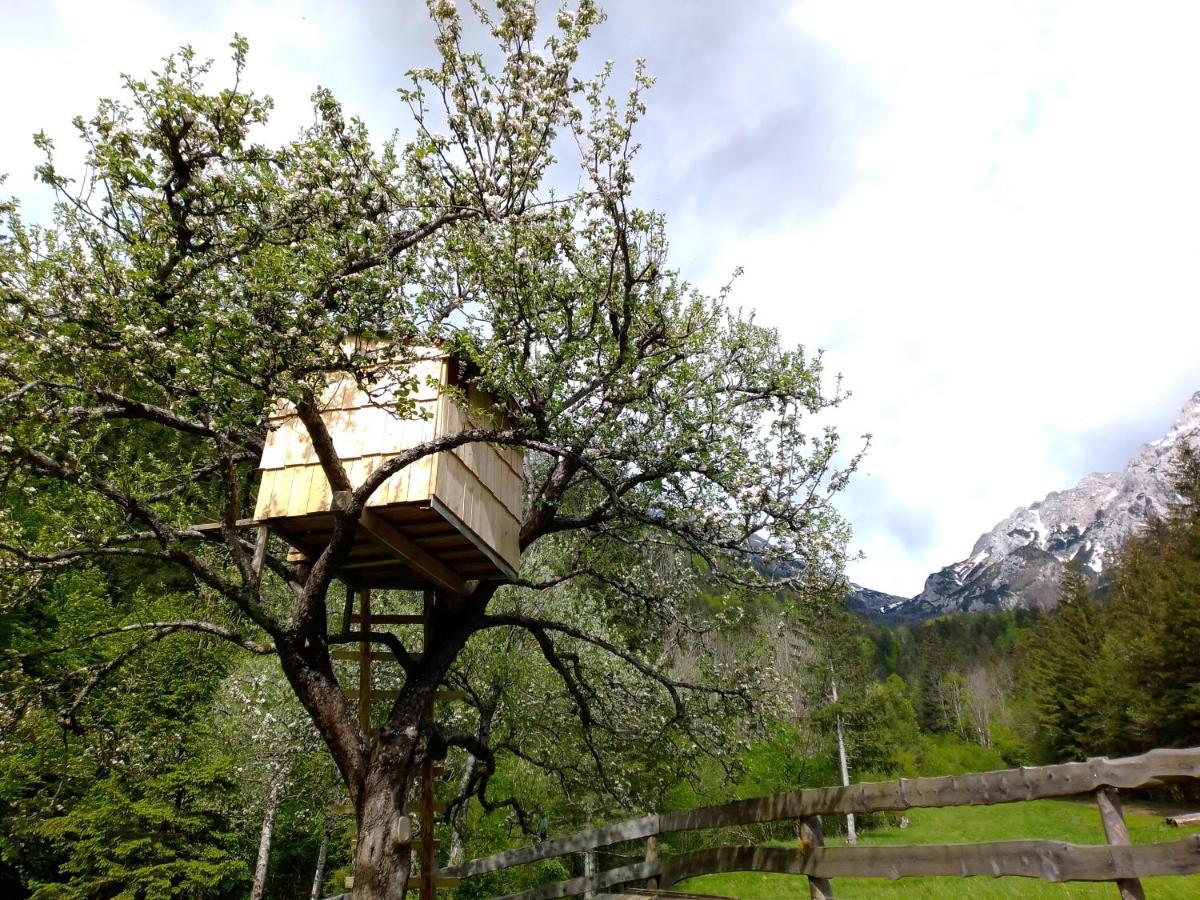 Camping & Glamping Grintovec Preddvor Exterior photo