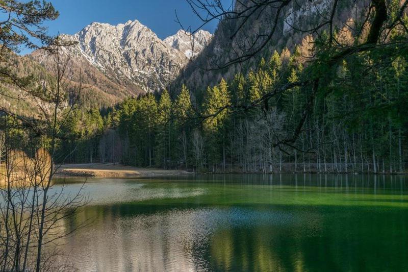 Camping & Glamping Grintovec Preddvor Exterior photo