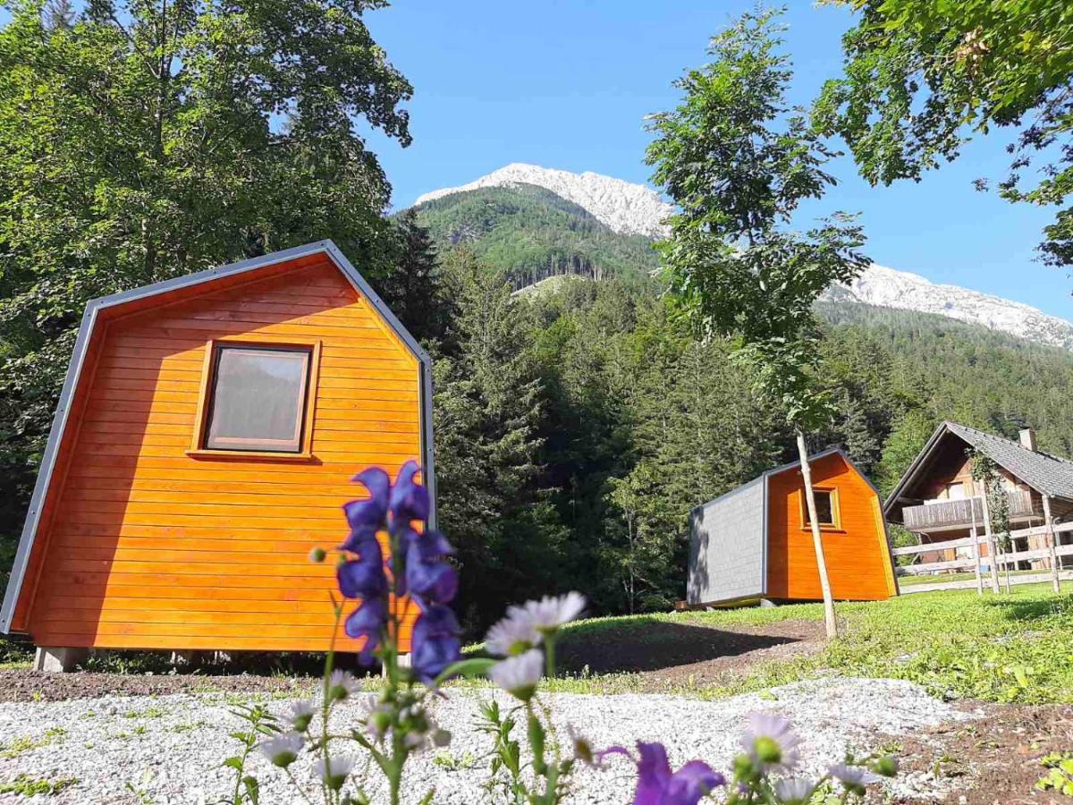 Camping & Glamping Grintovec Preddvor Exterior photo