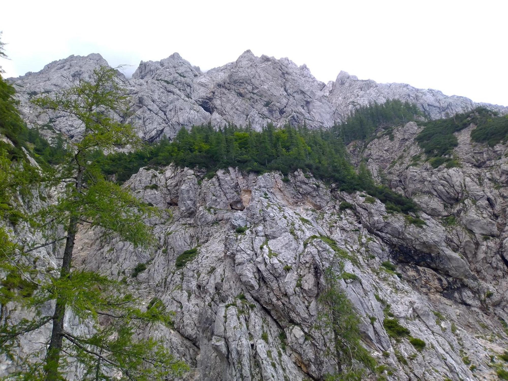 Camping & Glamping Grintovec Preddvor Exterior photo