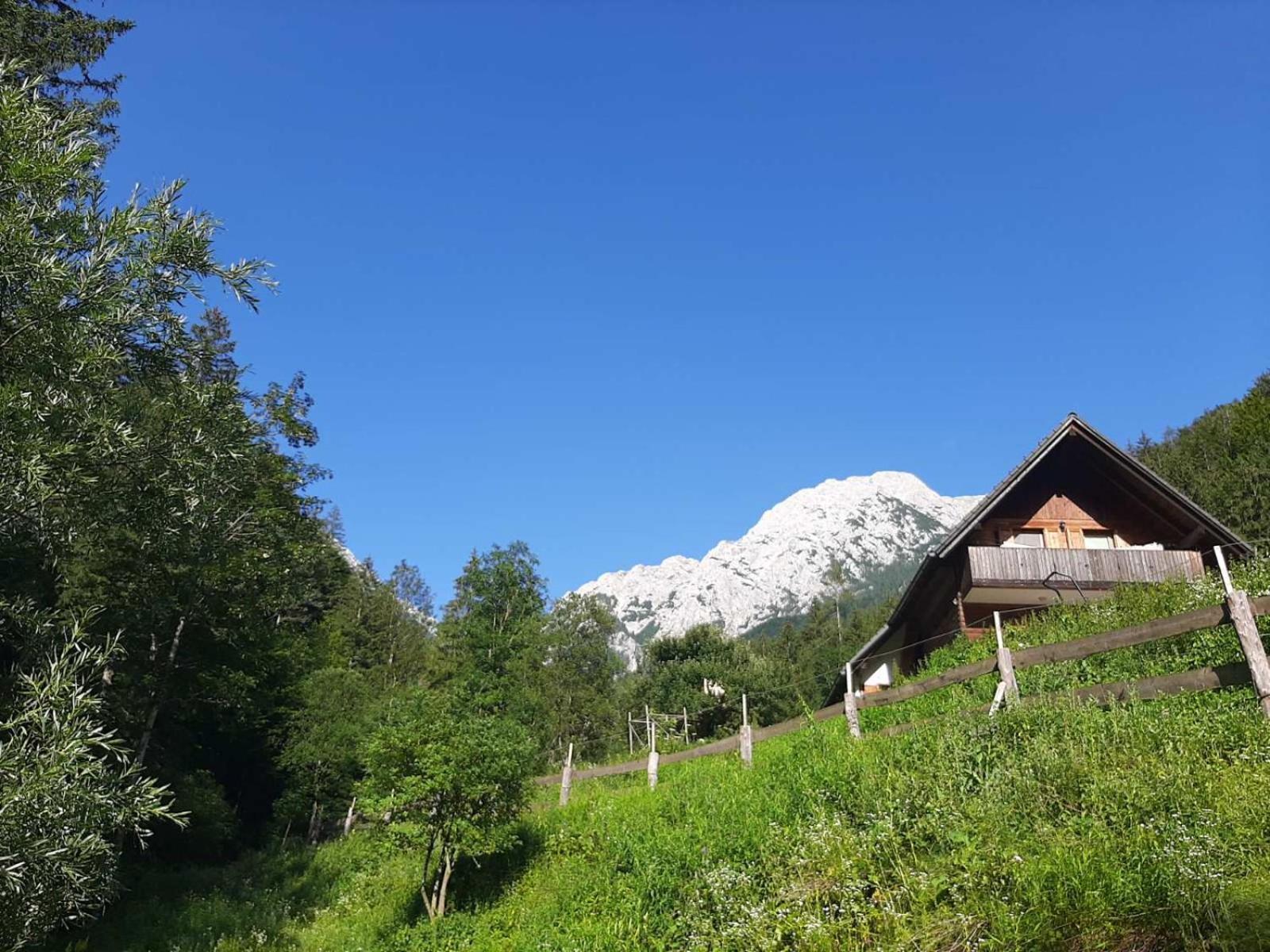 Camping & Glamping Grintovec Preddvor Exterior photo